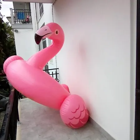 Arabesco ホテル リミニ