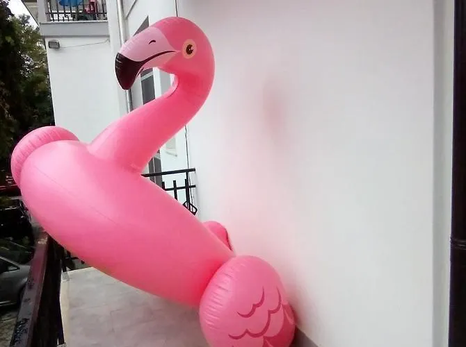 Arabesco Hotel Rimini