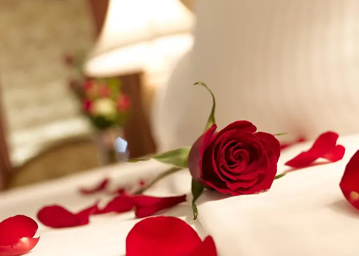 阿拉贝斯克酒店 3*